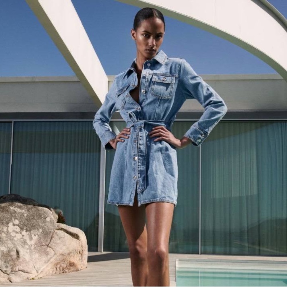 Zara “The Doro Denim Dress”